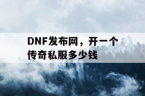 DNF发布网，开一个传奇私服多少钱