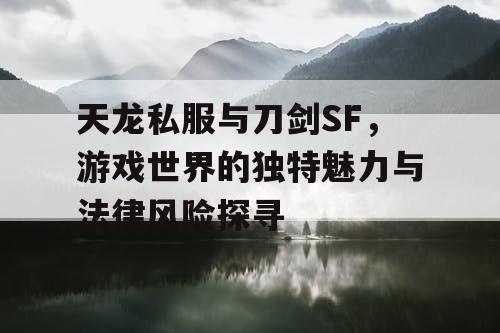 天龙私服与刀剑SF，游戏世界的独特魅力与法律风险探寻