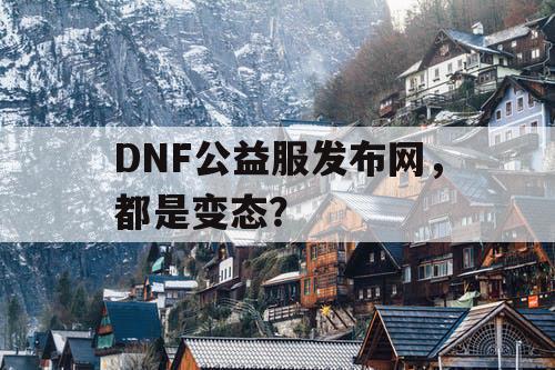 DNF公益服发布网，都是变态？