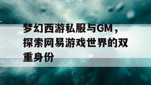 梦幻西游私服与GM，探索网易游戏世界的双重身份