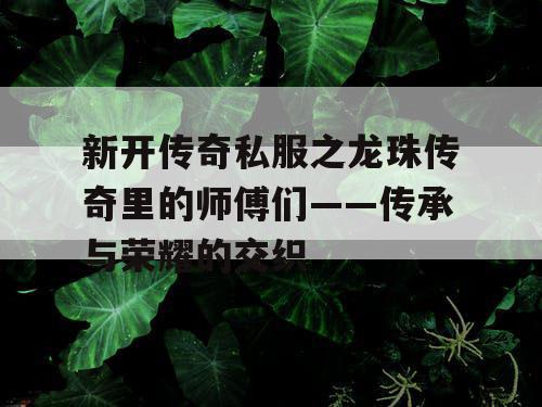 新开传奇私服之龙珠传奇里的师傅们——传承与荣耀的交织