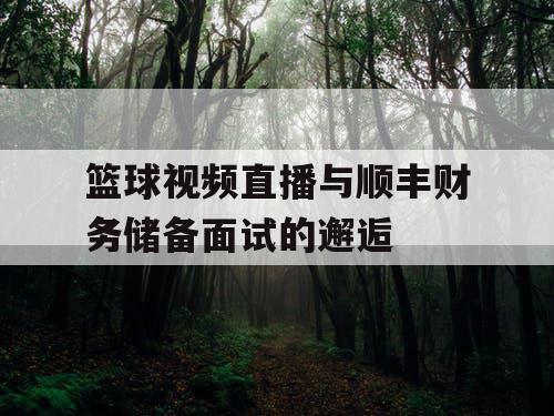 篮球视频直播与顺丰财务储备面试的邂逅