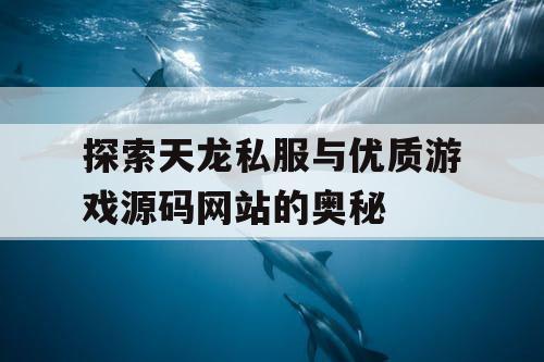 探索天龙私服与优质游戏源码网站的奥秘