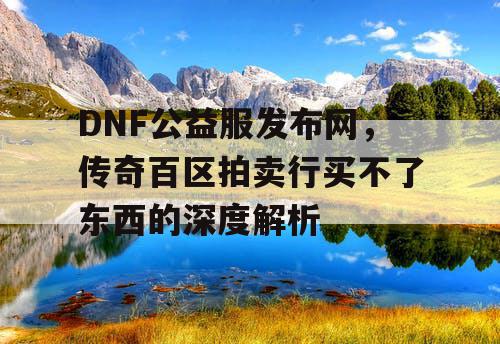 DNF公益服发布网，传奇百区拍卖行买不了东西的深度解析