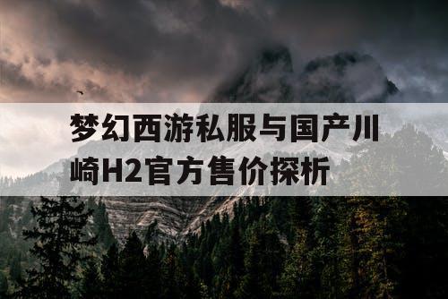 梦幻西游私服与国产川崎H2官方售价探析