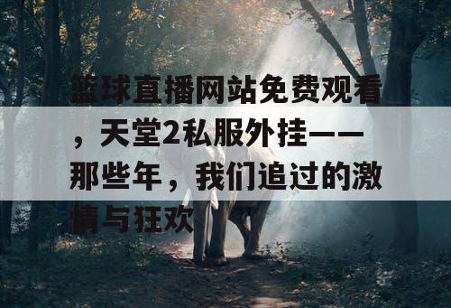 篮球直播网站免费观看，天堂2私服外挂——那些年，我们追过的激情与狂欢