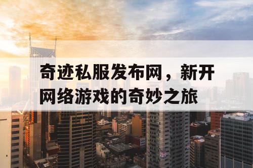 奇迹私服发布网，新开网络游戏的奇妙之旅