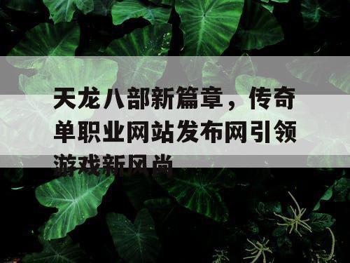 天龙八部新篇章，传奇单职业网站发布网引领游戏新风尚