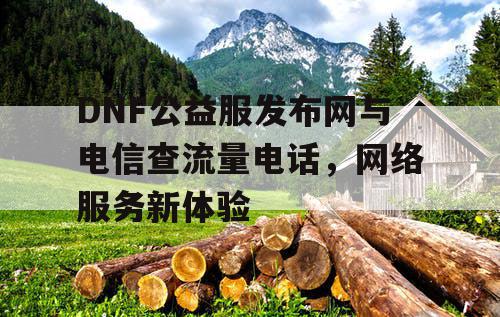 DNF公益服发布网与电信查流量电话，网络服务新体验