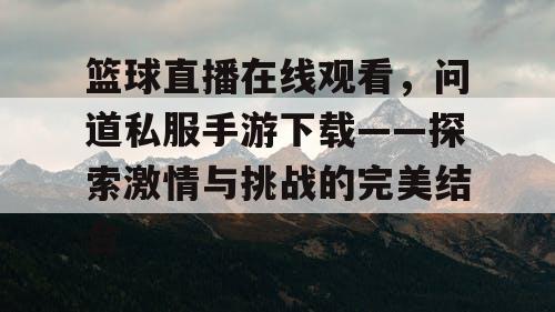 篮球直播在线观看，问道私服手游下载——探索激情与挑战的完美结合