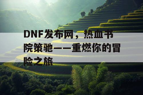 DNF发布网，热血书院策驰——重燃你的冒险之旅