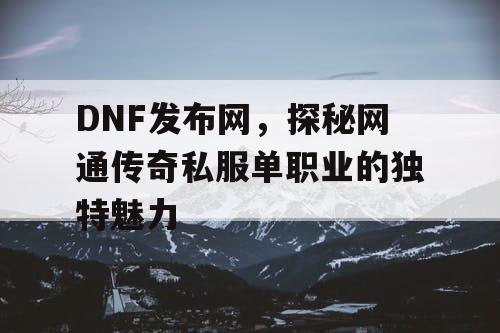 DNF发布网，探秘网通传奇私服单职业的独特魅力