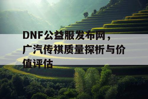 DNF公益服发布网，广汽传祺质量探析与价值评估