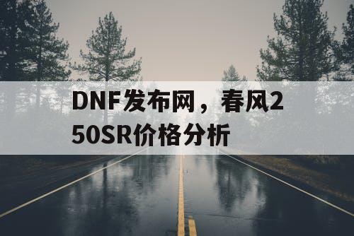 DNF发布网，春风250SR价格分析