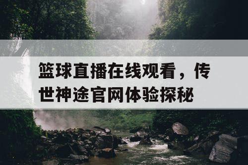 篮球直播在线观看，传世神途官网体验探秘