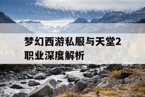 梦幻西游私服与天堂2职业深度解析