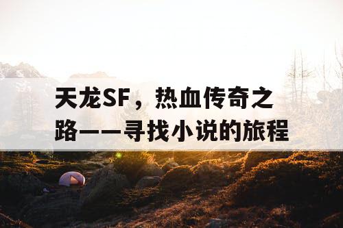 天龙SF，热血传奇之路——寻找小说的旅程