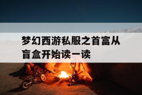 梦幻西游私服之首富从盲盒开始读一读