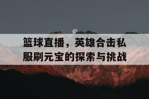 篮球直播，英雄合击私服刷元宝的探索与挑战
