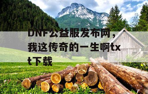 DNF公益服发布网，我这传奇的一生啊txt下载