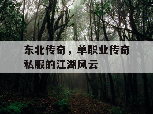 东北传奇，单职业传奇私服的江湖风云