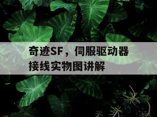 奇迹SF，伺服驱动器接线实物图讲解