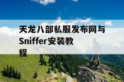 天龙八部私服发布网与Sniffer安装教程