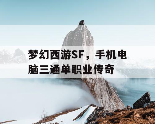 梦幻西游SF，手机电脑三通单职业传奇