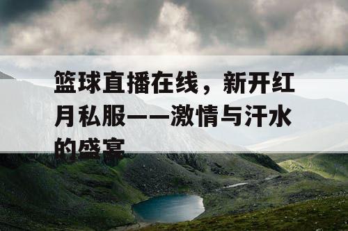 篮球直播在线，新开红月私服——激情与汗水的盛宴