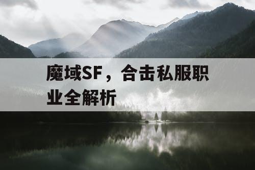 魔域SF，合击私服职业全解析