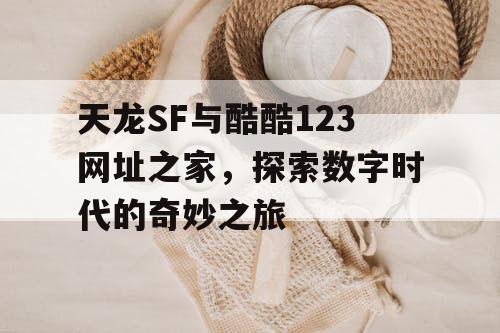 天龙SF与酷酷123网址之家，探索数字时代的奇妙之旅