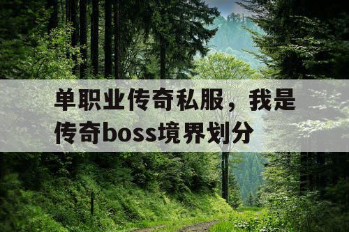 单职业传奇私服，我是传奇boss境界划分