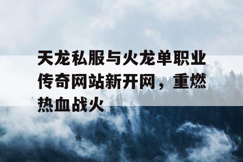 天龙私服与火龙单职业传奇网站新开网，重燃热血战火