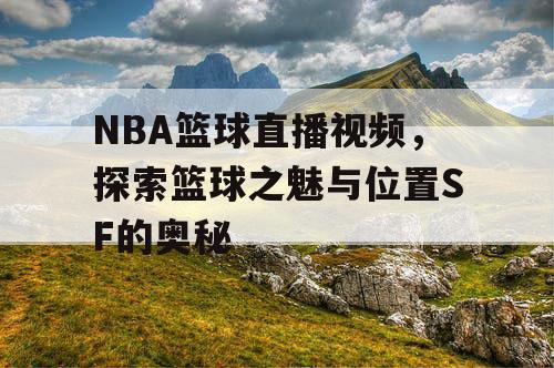 NBA篮球直播视频，探索篮球之魅与位置SF的奥秘