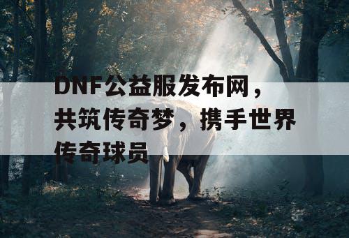 DNF公益服发布网，共筑传奇梦，携手世界传奇球员