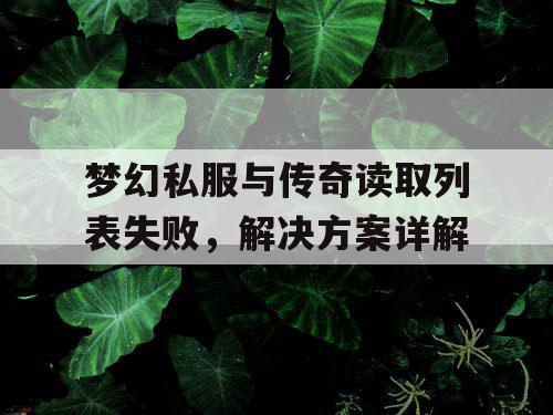 梦幻私服与传奇读取列表失败，解决方案详解