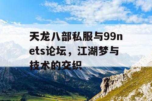 天龙八部私服与99nets论坛，江湖梦与技术的交织