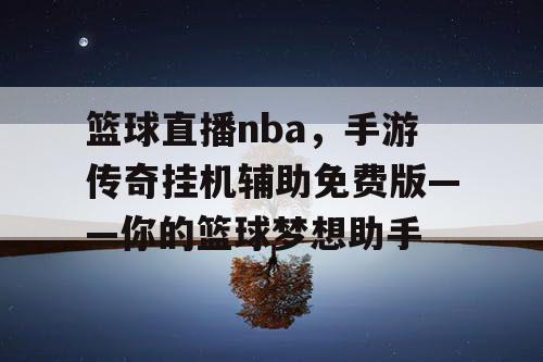 篮球直播nba，手游传奇挂机辅助免费版——你的篮球梦想助手