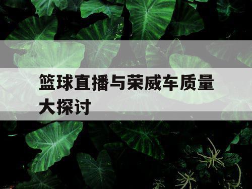 篮球直播与荣威车质量大探讨
