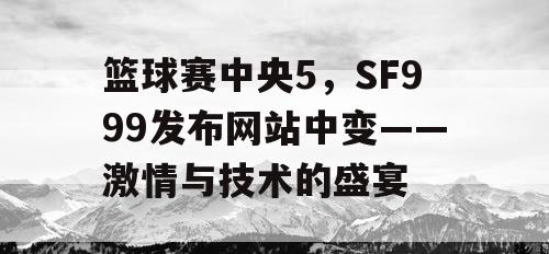 篮球赛中央5，SF999发布网站中变——激情与技术的盛宴