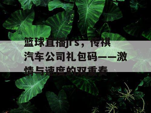 篮球直播jrs，传祺汽车公司礼包码——激情与速度的双重奏