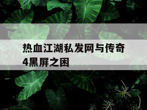 热血江湖私发网与传奇4黑屏之困