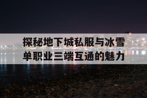 探秘地下城私服与冰雪单职业三端互通的魅力