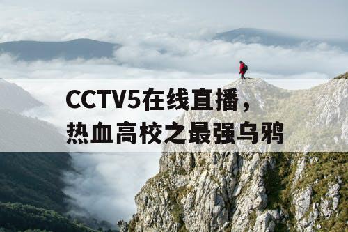 CCTV5在线直播，热血高校之最强乌鸦
