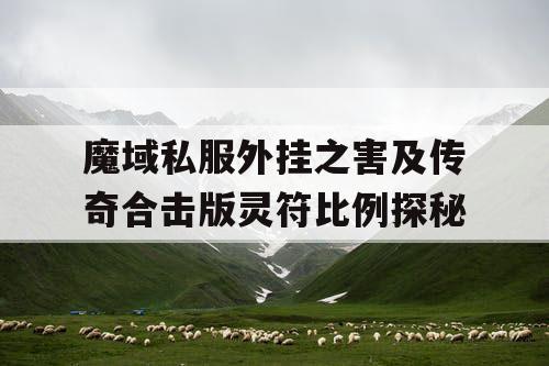魔域私服外挂之害及传奇合击版灵符比例探秘