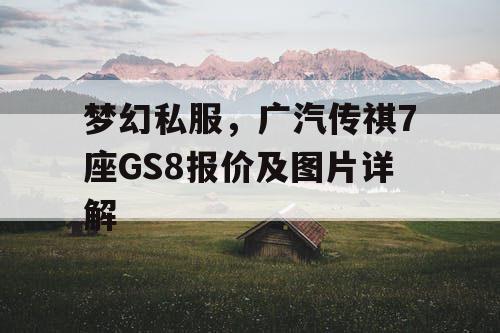 梦幻私服，广汽传祺7座GS8报价及图片详解
