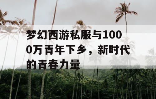 梦幻西游私服与1000万青年下乡，新时代的青春力量