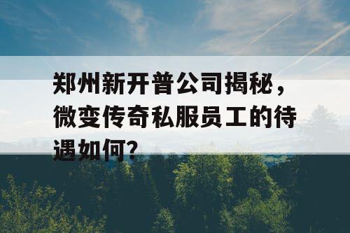 郑州新开普公司揭秘，微变传奇私服员工的待遇如何？
