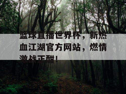 篮球直播世界杯，新热血江湖官方网站，燃情激战正酣！