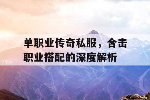 单职业传奇私服，合击职业搭配的深度解析